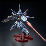MG ZGMF-X13A Providence Gundam [Special Coating] (Jan)