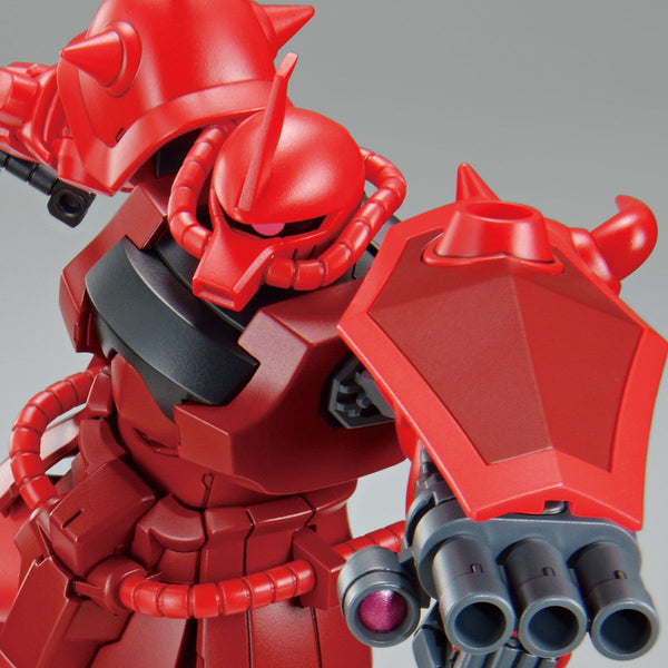 HG Gouf Crimson Custom