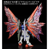 RG Destiny Gundam Effect Unit Wings of Light
